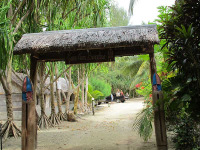 Vanuatu - Malekula - Tam-Tam Bungalows