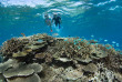 Australie - Queensland - Lady Elliot Island - © Tourism & Events Queensland