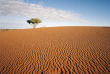 Australie - South Australia - Flinders Ranges - ©Tourism Australia