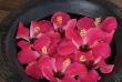 Fidji - Iles Yasawa - Octopus Resort - Spa
