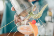 Fidji - Iles Yasawa - Yasawa Island Resort & Spa - Bar