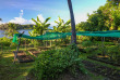 Fidji - Kadavu - Matava - Jardins bio
