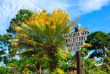 Fidji - Iles Mamanuca - Musket Cove Island Resort