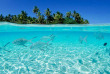 Fidji - Iles Mamanuca - Serenity Island Island