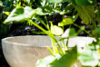 Fidji - Iles Mamanuca - Tokoriki Island Resort - Spa