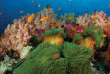 Fidji - Pacific Harbour - Nanuku Resort Fiji