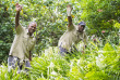 Fijdi - Beqa Lagoon - Royal Davui Island - Equipe de jardiniers