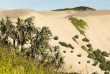Fidji - Autotour sur Viti Levu - Dunes de Sigatoka © Shutterstock, Henryk Sadura