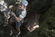 Fidji - Nadi - Tyrolienne à Momi Bay - Descente en rappel dans les grottes (en option)