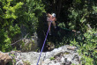 Fidji - Nadi - Tyrolienne à Momi Bay - Descente en rappel dans les grottes (en option)