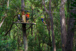 Hawaii - Big Island - Tyrolienne dans la forêt de Kohala