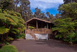Hawaii - Hawaii Big Island - Volcano - Chalet Kilauea Rainforest Hotel - Deluxe Bungalow