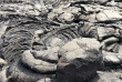 Hawaii - Hawai Big Island - Volcano National Park ©Pacifique à la Carte