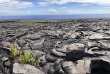 Hawaii - Hawai Big Island - Volcano National Park ©Pacifique à la Carte