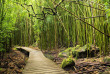 Hawaii - Maui - Route d'Hana, Haleaka National Park ©Shutterstock, Alex GK Lee