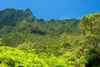 Hawaii - Maui - Iao Valley ©Shutterstock, Vacclav