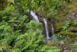 Hawaii - Maui - Route d'Hana ©Shutterstock, Marisa Estivill
