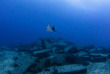 Hawaii - Oahu - Waikiki Diving Center - Greg Lecoeur