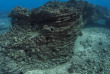 Hawaii - Oahu - Waikiki Diving Center - Greg Lecoeur