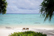 Iles Cook - Aitutaki - Pacific Resort Aitutaki Nui