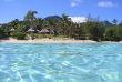 Iles Cook - Rarotonga - Palm Grove