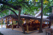 Maldives - Biyadhoo Island Resort - Coconut Bar