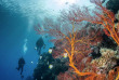 Micronésie - Palau - Croisière Palau  © Aggressor Fleet