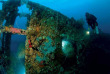 Micronésie - Palau - Ocean Hunter 3 - Fish'n Fins © S Westmorland