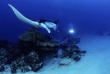 Micronésie - Palau - Ocean Hunter 3 - Fish'n Fins