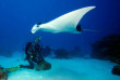 Micronésie - Palau - Ocean Hunter 3 - Fish'n Fins