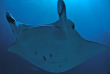Micronésie - Palau - Sam's Tours © Christoph Hoppe