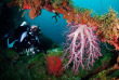 Micronésie - Truk - Truk Blue Lagoon Dive Shop