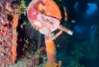 Micronésie - Truk - Truk Blue Lagoon Dive Shop