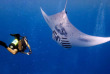Micronésie - Yap - Manta Ray Bay