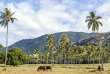 Nouvelle-Calédonie - Bourail © NCTPS, Stéphane Ducandas