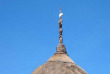 Nouvelle-Calédonie - Côte Ouest - Case © Tourisme Province Nord
