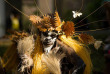 Nouvelle-Calédonie - Ile des Pins - Danseur © Laurent Brizard