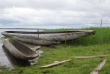 Papouasie-Nouvelle-Guinée - Lake Murray Lodge © Trans Niugini Tours