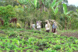 Papouasie-Nouvelle-Guinée - Mount Hagen - Rondon Ridge © Trans Niugini Tours