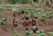 Papouasie-Nouvelle-Guinée - Tari - Ambua Lodge © Trans Niugini Tours