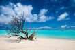 Iles Pitcairn - Croisière Pitcairn Islands Explorers Voyage - Oeno Island © Pitcairn Islands Tourism, Christopher Pegman