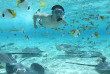 Polynésie française - Bora Bora - Safari Requins et Raies en Plongée Libre