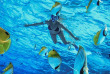 Polynésie française - Bora Bora - Safari Requins et Raies en Plongée Libre