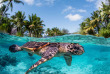 Polynésie française - Bora Bora - The Westin Bora Bora Resort & Spa - Eco Center © BoraBoraPhotoVideo