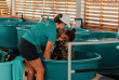 Polynésie française - Bora Bora - The Westin Bora Bora Resort & Spa - Eco Center
