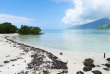 Polynésie française - Moorea - Les trésors sous-marins de Moorea