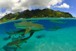 Polynésie française - Raiatea - Journée bateau autour de Tahaa