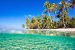 Polynésie française - Tikehau - Journée découverte dans l’atoll de Tikehau © Shutterstock, BlueOrange Studio