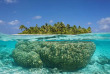 Polynésie française - Tikehau - Journée découverte dans l’atoll de Tikehau © Shutterstock, Damsea
