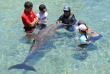Polynésie - Moorea - InterContinental Moorea Resort & Spa - Dolphin Center